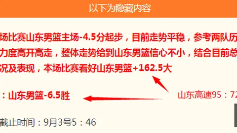 沃纳梦想之旅：我的模板启示，重构赛场新定义